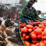 Food Prices Ease in Nigeria, But Weak Purchasing Power Keeps Markets Quiet