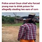 BREAKING: Omoyele Sowore Released After Two Days in Police Custody