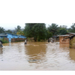 Rivers State Administrator Declares Tinubu’s Emergency Mandate “Fulfilled” After LG Elections