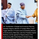 Tinubu Presidency Defends 15% Fuel Import Tariff, Says Policy Will Boost Local Refining and Job Creation