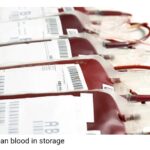 US Deploys Drones, 200 Troops to Support Nigeria’s Counterterrorism Efforts — Report