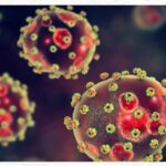 146 Dead, Dozens of Health Workers Infected as Lassa Fever Spreads Across Nigeria