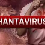Urgent Action Needed as Hantavirus Outbreak Raises Global Concern