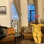 Air Peace Cancels Warri-Lagos Flight After Bird Strike Incident