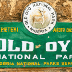 Former APC Chairman Dies in Bandits’ Captivity
