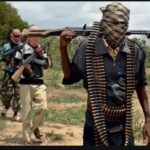 Oyo Government Declares Curfew in 10 LGAs Around Old Oyo National Park
