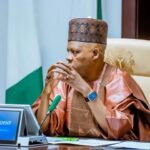 Shettima Urges States to Tackle Power Supply Problems, Establish Electricity Markets
